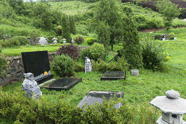 沈阳森林纪念园公墓：骨灰寄存如何祭祀呢？