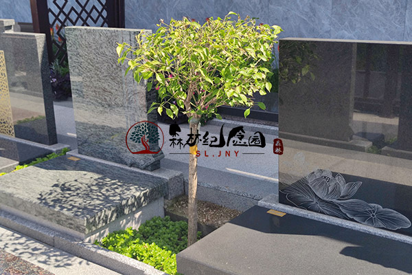 沈阳墓园安葬指南：如何选择合适的墓地及安葬仪式的安排