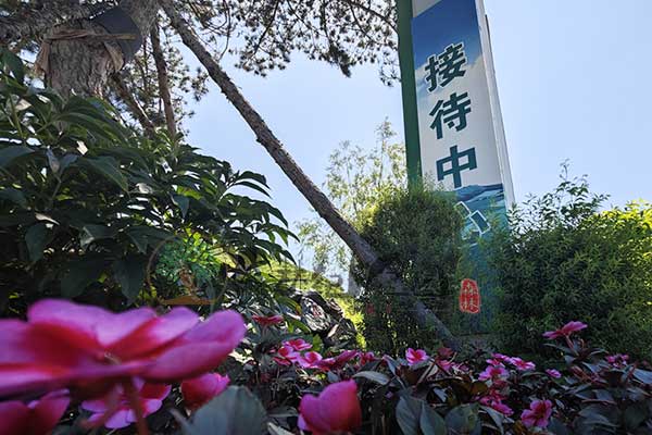 森林中的静谧之地：现代生命纪念园的人文关怀与自然和谐