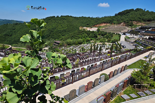 沈阳陵园传统祭扫习俗与现代变革有哪些？