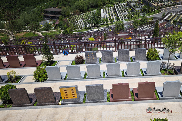 沈阳墓园绿化规范：树木种植距离坟墓的合理间距